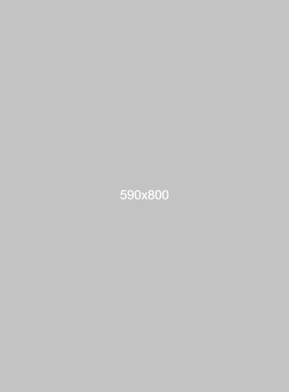 websiteplanet-dummy-590X800
